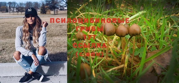 бошки Волоколамск
