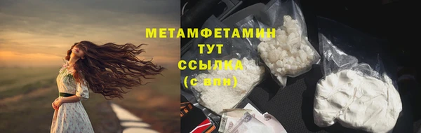 индика Волосово