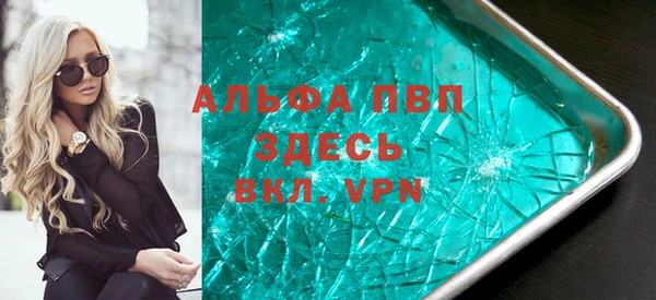 индика Волосово