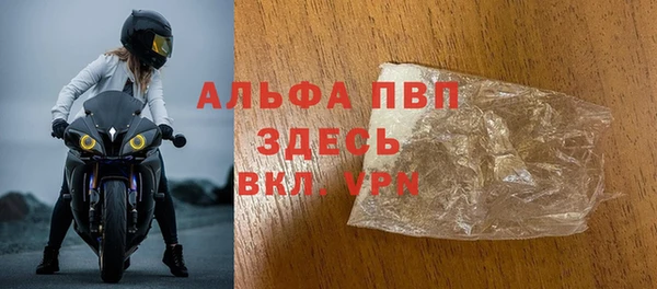 индика Волосово