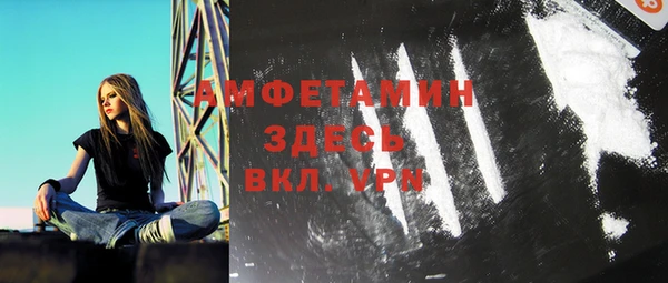 индика Волосово