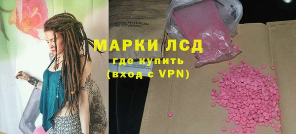 индика Волосово